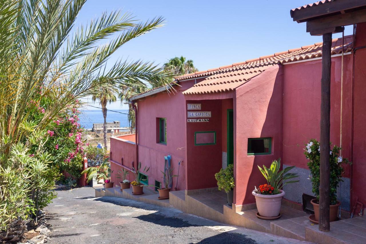La Gaviota - El Marmol Apartment Icod De Los Vinos